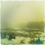 Sneeuw in de ardennen